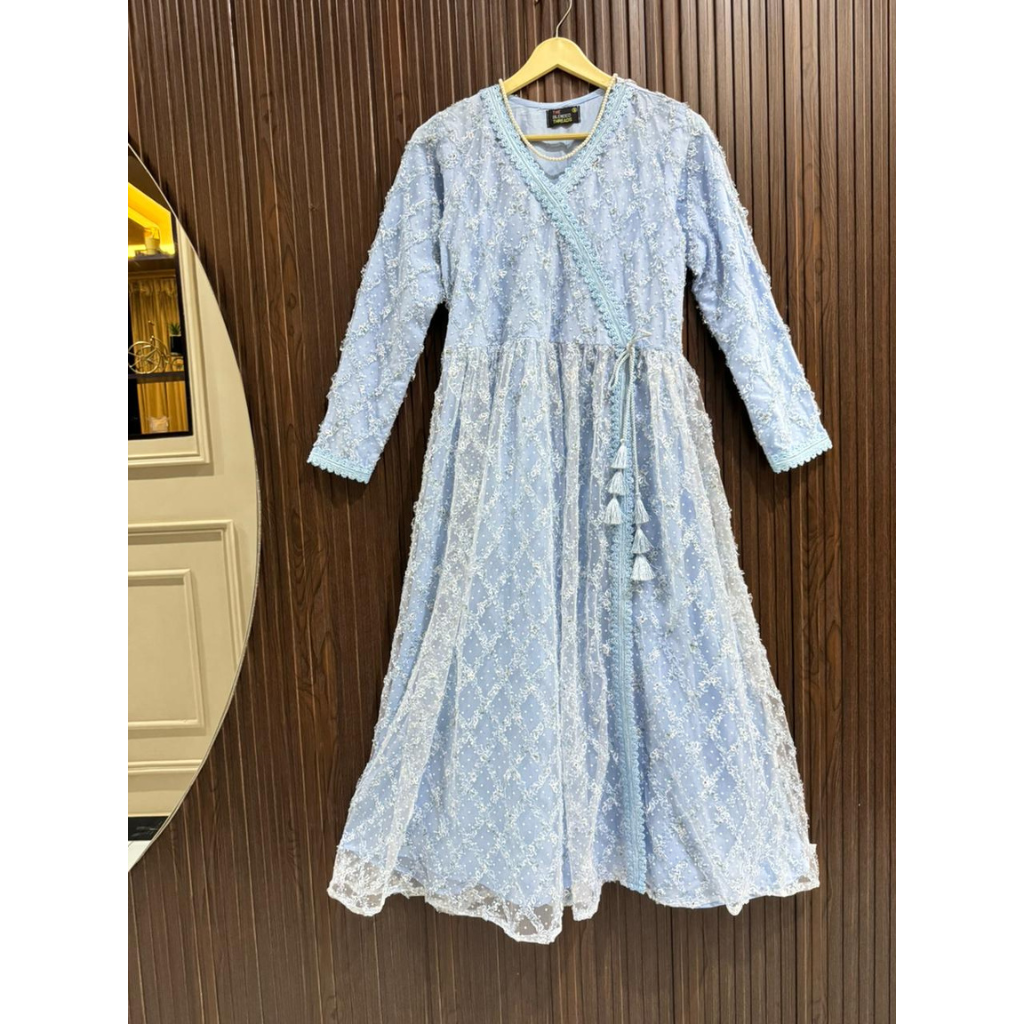 Powder Blue Chiffon Net Long Dress for Women – Elegant Lace Maxi Dress with Malai Lining