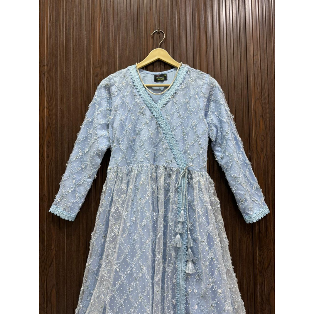 Powder Blue Chiffon Net Long Dress for Women – Elegant Lace Maxi Dress with Malai Lining